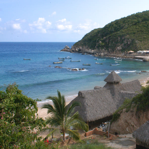 Tehuamixtle